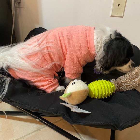 Odra Pooch Couture Pet Pajamas – Dog Not Included - Picture 7 of 8